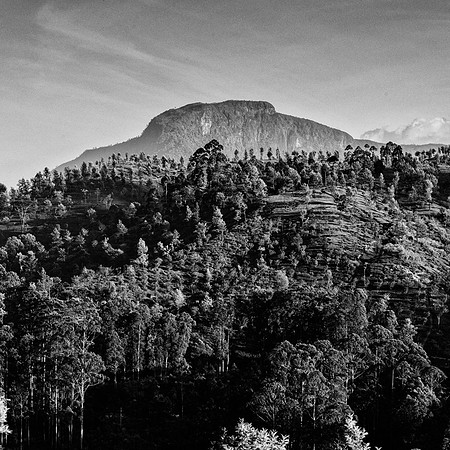 Sri Lanka